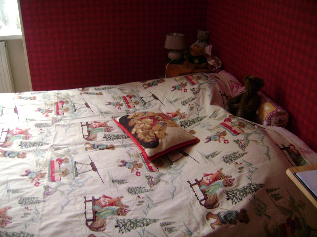 Bed and Breakfast Les Volets Bleus Alsace Vosges Urbès Zewnętrze zdjęcie